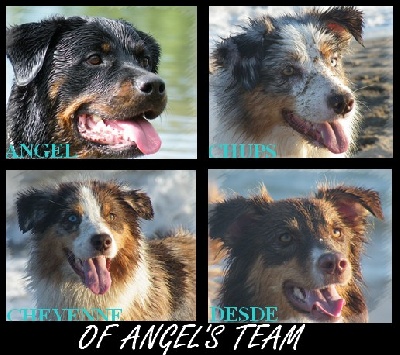 Of Angel's Team